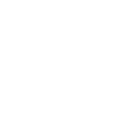 Ikon - Trekke visdomstann